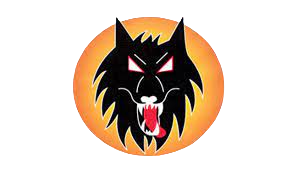 Wolverhampton Wolves