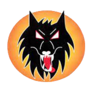 wolverhampton_wolves.png Logo