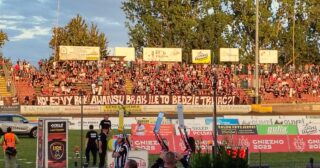 W Gnieźnie otworzyli zoo. Szkoda, że bez klatek